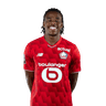 Nathan Ngoy