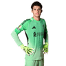 Armin Pecsi
